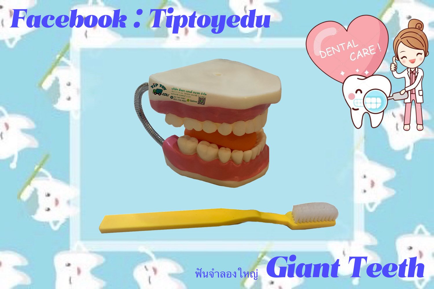ฟันจำลองยักษ์ Giant Teeth